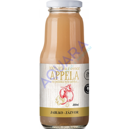 Jablko-Zázvor 300 ml